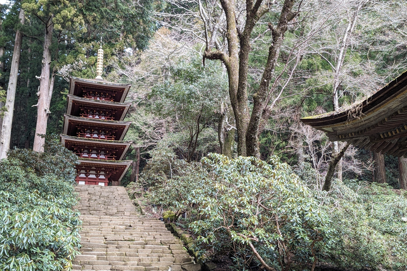 国内最小サイズといわれる、かわらいらしい五重塔（室生寺）