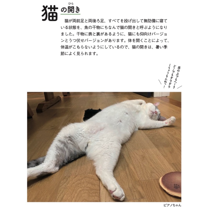 ねこまみれ事典