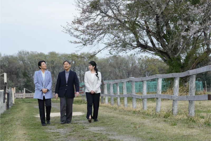 散策されるご一家（2023年4月5日、Ph／JMPA）