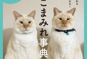 「ねこパンチ」「猫の開き」まで！　生態や猫種、バズリワードなど猫にまつわる言葉を収録した事…