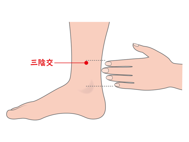 「三陰交」の位置を図解