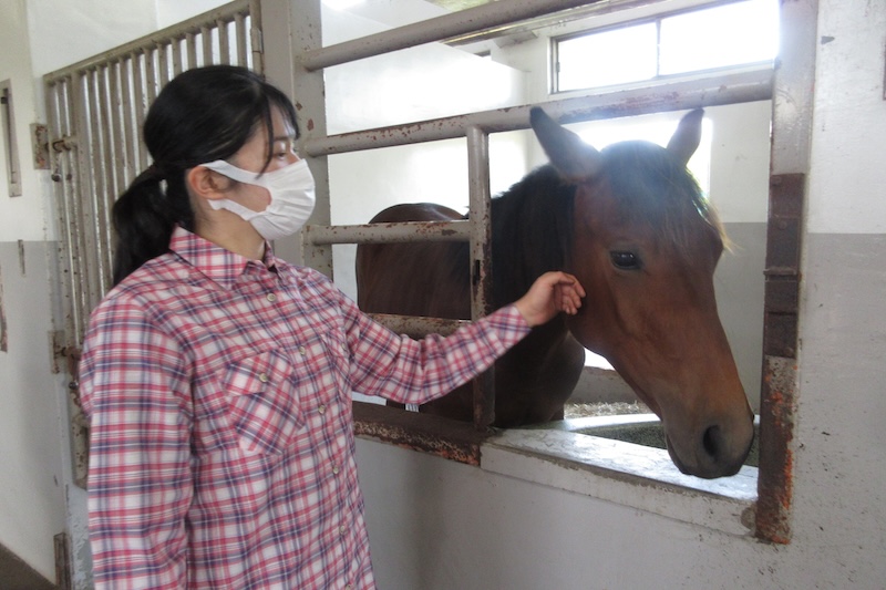 馬に触れられる愛子さま（2024年5月、Ph／宮内庁提供）