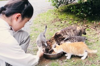 《天皇ご一家の飼い猫写真が公開》皇后雅子さまは園遊会で…