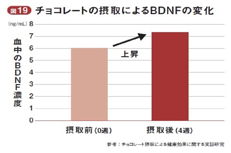 チョコレートの摂取によるBDNFの変化