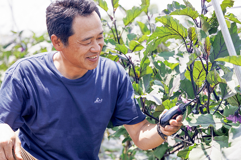 夏はなすがおいしい季節！なす農家の賀川元史さん