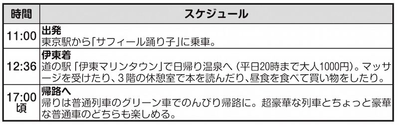 「サフィール踊り子」に乗って伊豆日帰り“オバ旅”のリアル旅程表