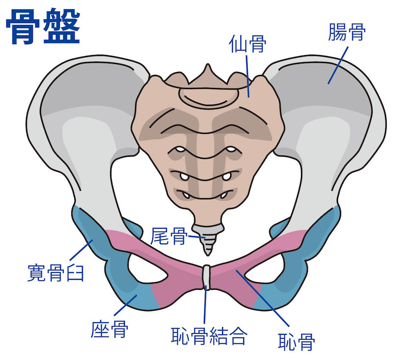 仙骨のあたりを温めるのが◎