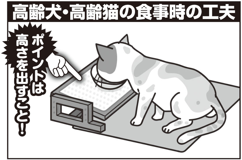 年を取ると後ろ足の踏ん張りがきかなくなるので、えさや水皿を高い位置に置き、顔に近づけてあげると、足腰の負担が軽減して食事がしやすい（イラスト／さややん。）