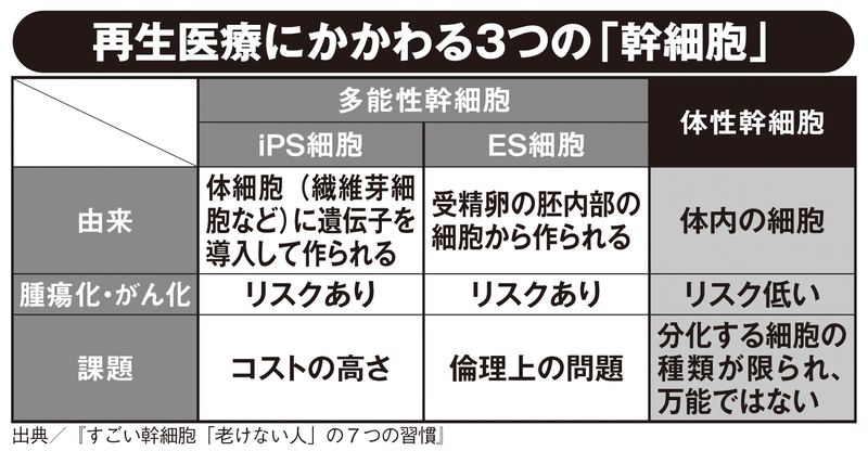 再生医療にかかわる3つの「幹細胞」の由来と課題