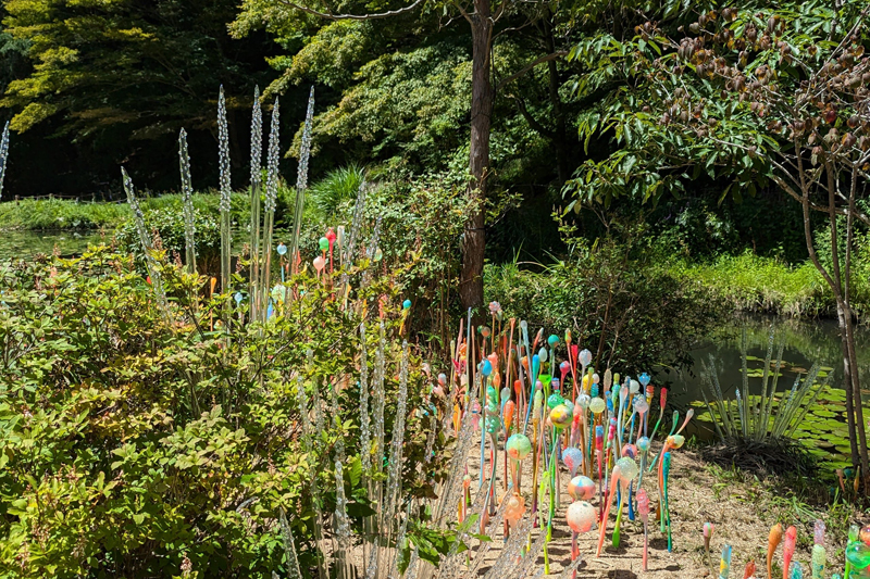 生田目礼一「『ヒカリ島』～夜行植物“UkarukuPa”燐光実験区～」