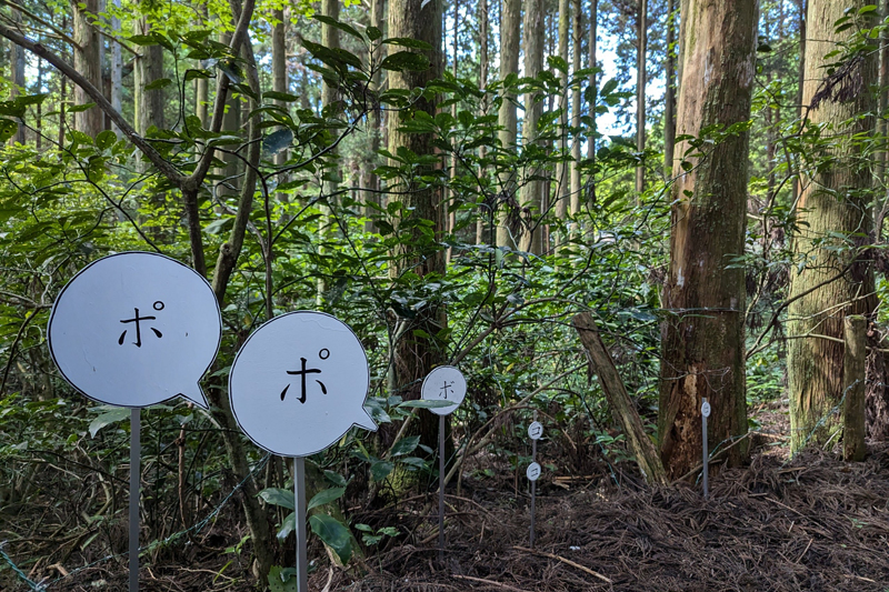 春田美咲「音の気配　森の声」