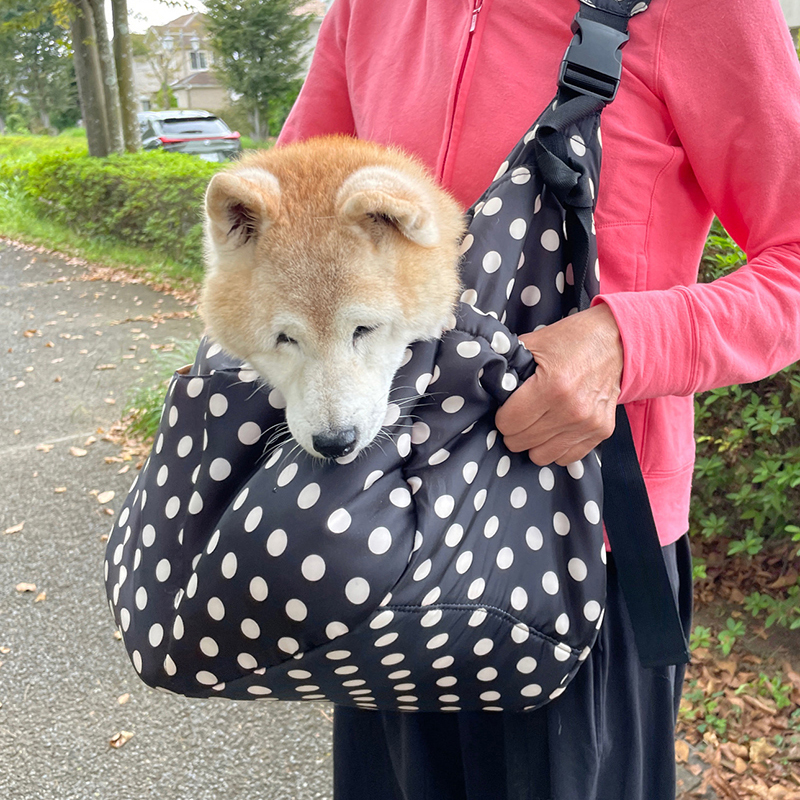 老犬になって走り回れなくても、天気がいい日は抱っこ用バッグに入れて一緒に散歩に出かけたという（C）浜田一男