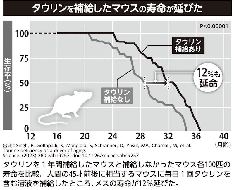 タウリンを補給したマウスの寿命が延びたことを示すグラフ