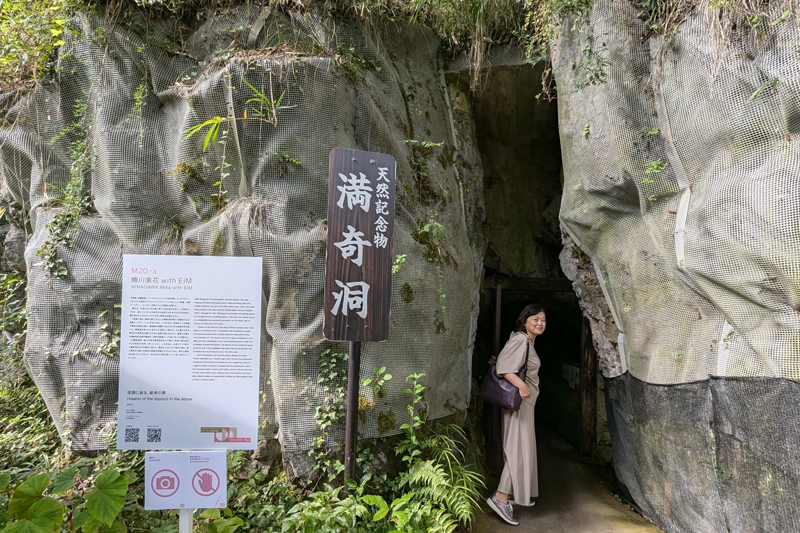 映画『八つ墓村』のロケ地でもある満奇洞の入り口。鍾乳洞の入り口までは坂道、鍾乳洞の中も足場は悪いので、滑りにくい靴ででかけたい