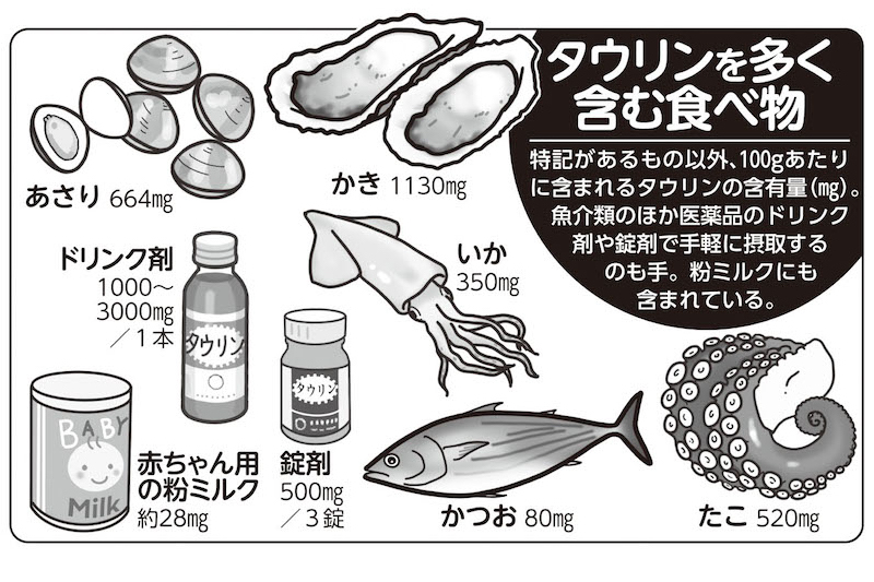 タウリンを多く含む食べ物（イラスト／いばさえみ）