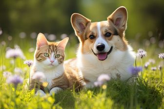 【散歩中に注意】犬や猫の飼い主が知っておきたい”食べてはいけない草“を獣医師が解説