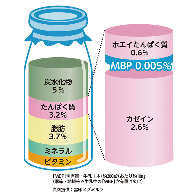 MBPはどんな成分なのか（資料提供／雪印メグミルク）