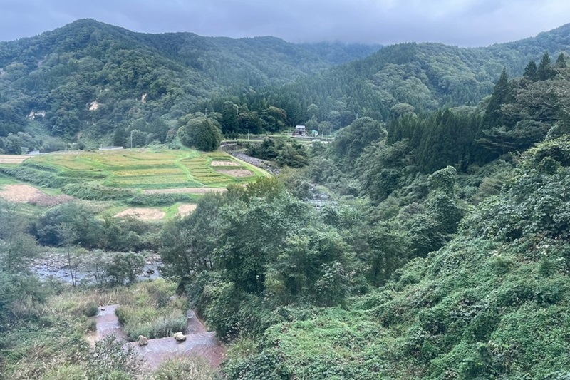 山深い峡谷を走る