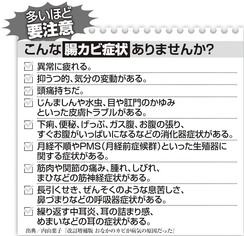 出典／内山葉子『改訂増補版 おなかのカビが病気の原因だった』