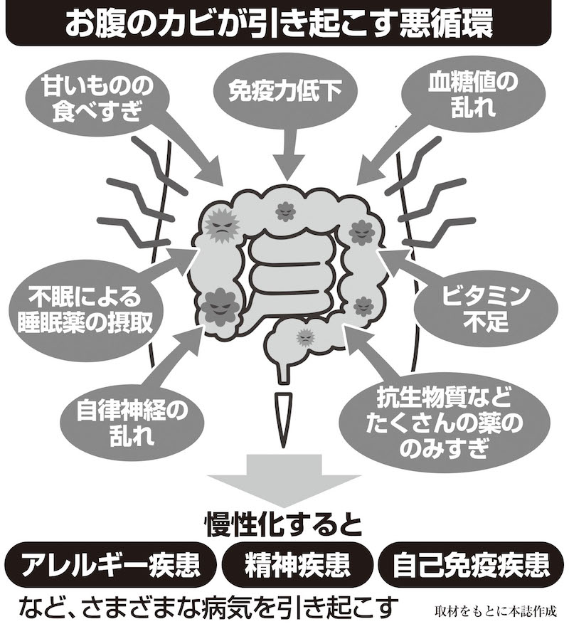 お腹のカビが引き起こす悪循環