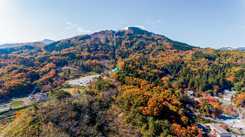 山頂から山麓まで段階的に色づくため長く紅葉が楽しめる。帰りはロープウェイを利用して、空中からの眺めを満喫したい