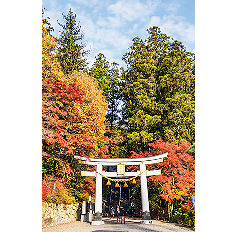 山麓にある宝登山神社の境内は、紅葉の名所。江戸時代の建築様式の社殿と紅葉が相まって荘厳な雰囲気