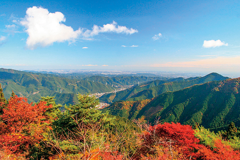 晴れた日は山頂から新宿のビル群も望める