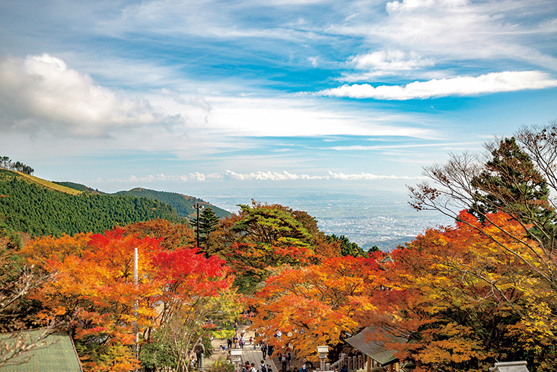 『かながわの景勝50選』に選定された山頂からの壮大な眺め。