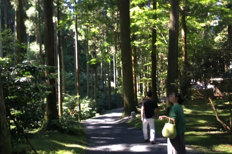 木の茂る御岩神社