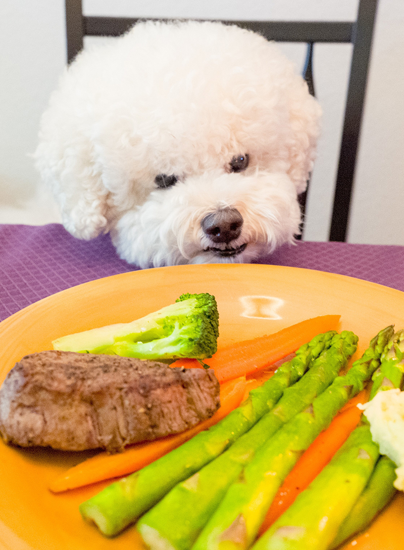 ペットの食事は新鮮&安全な食材を使って作られた“ヒューマングレード”が主流に。しかしお値段はヒューマングレード以上！？