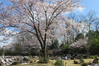 「家を背負って石碑の下に眠るのと、土に還るのと何の違いがあるんだろう」“墓友”という仲間との…