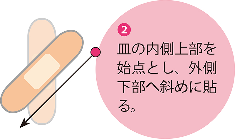 皿の内側上部を始点とし、外側下部へ斜めに貼る