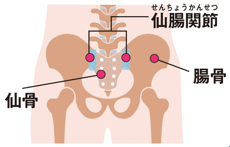 仙骨にアプローチ（イラスト／Pikovit／PIXTA）