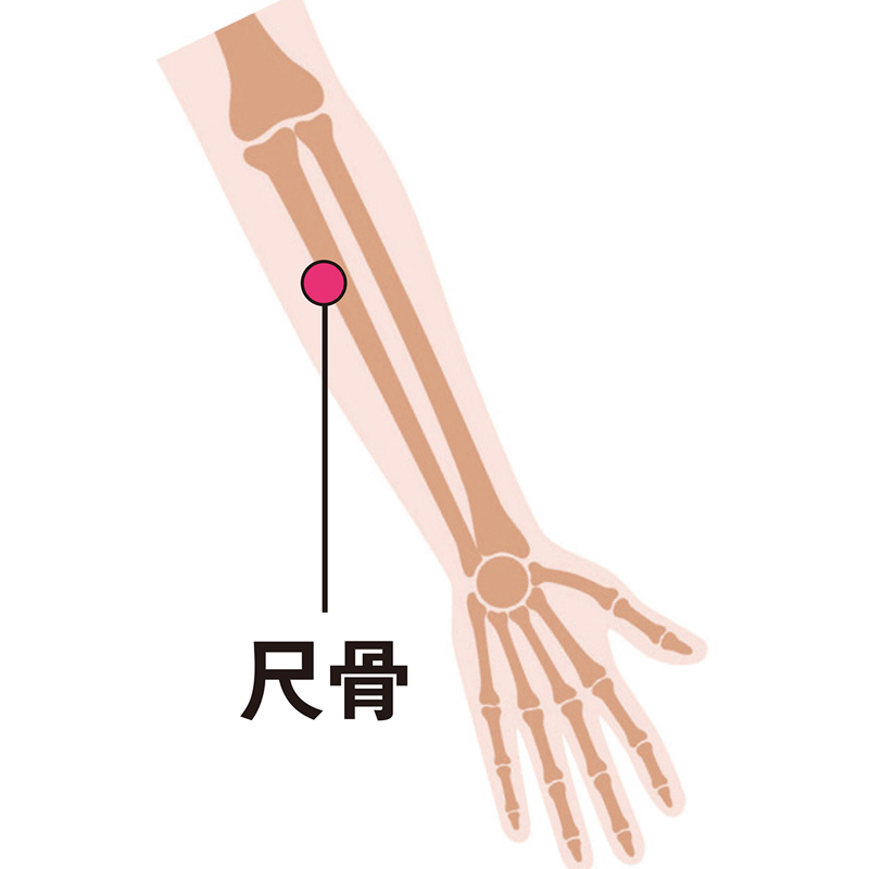 腕の骨にアプローチ