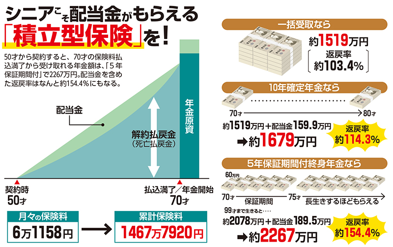 積立型保険であれば配当金がもらえる