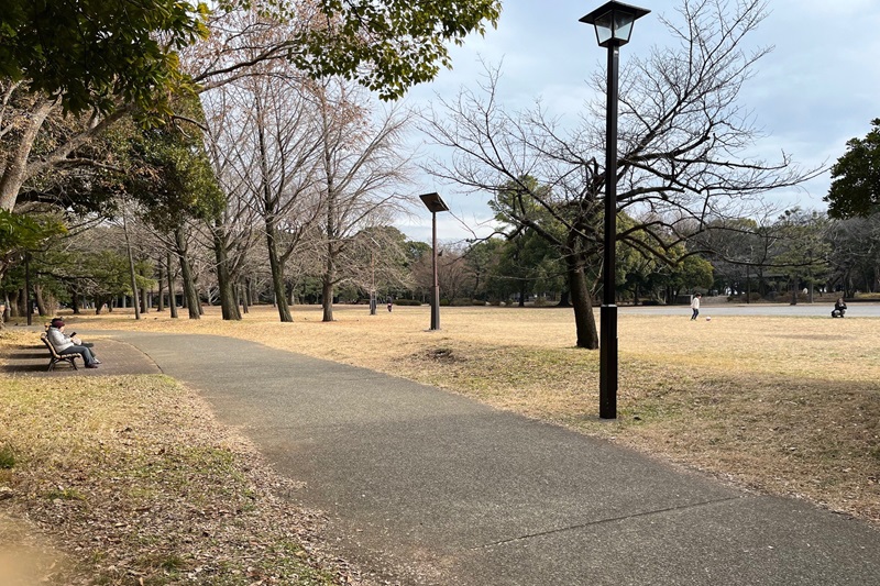 またいつか本場のオペラを鑑賞するために、足腰鍛えておかなくちゃ