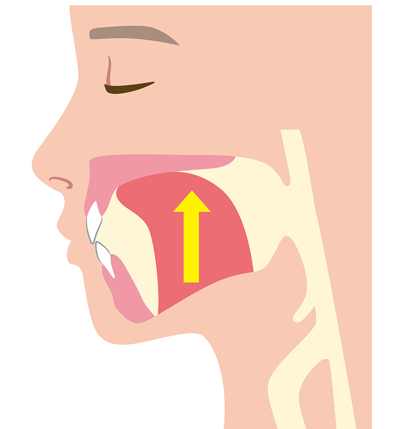 舌が上がっている状態　舌の先が上の前歯の裏にあり、舌が上あごについている
