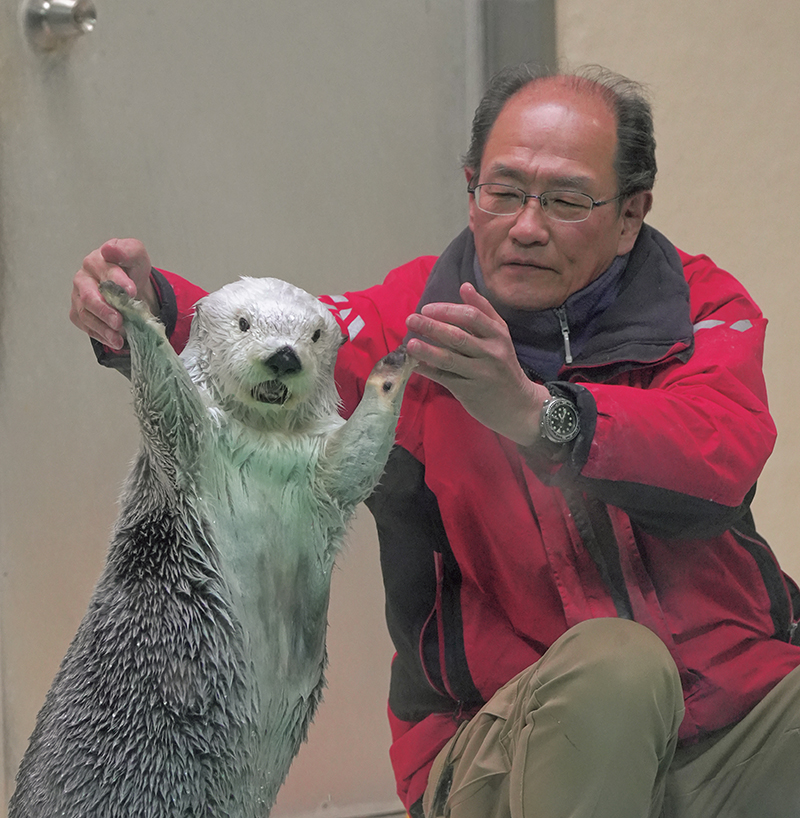 ラッコマイスター・石原さんとメイ（撮影／南幅俊輔）