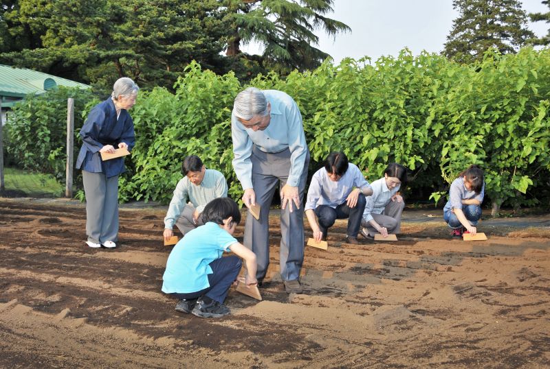 水田のほか、皇居内の畑では「陸稲」（畑で栽培される稲）やあわも育てられ、2014年には上皇ご夫妻、天皇陛下、秋篠宮ご一家で一緒に種まきをされた。悠仁さまに教えられる上皇陛下のお顔には、思わず笑みがこぼれる（2014年5月、写真／宮内庁提供）