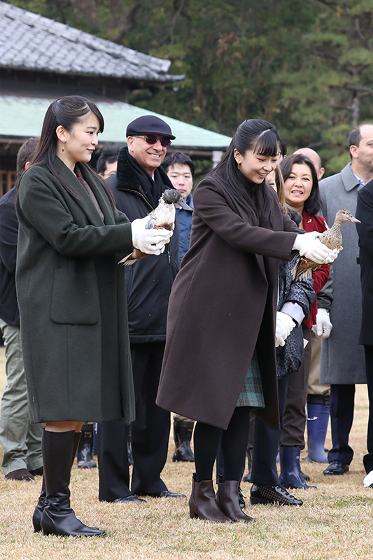 2019年、12月、「外交団鴨場接待」にご出席の秋篠宮家の長女・眞子さんと次女・佳子さま