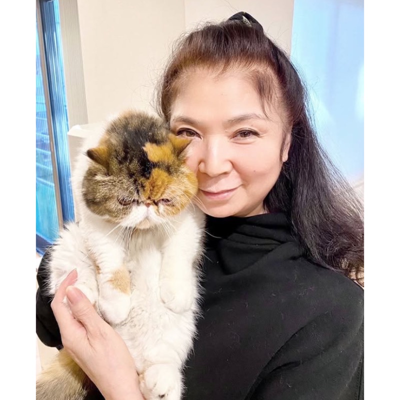 八代さんは60年以上にわたって保護猫を飼っていた（八代さんのインスタグラムより）