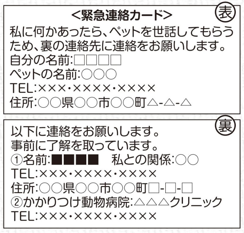 緊急連絡カード