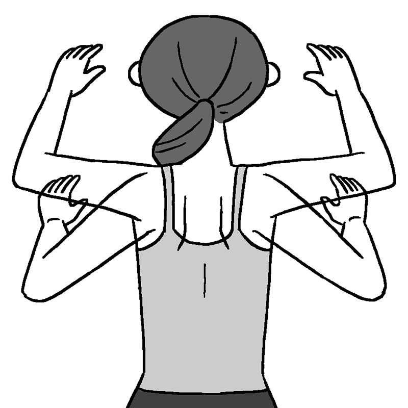 肩甲骨を回すエクササイズをする女性の後ろ姿のイラスト