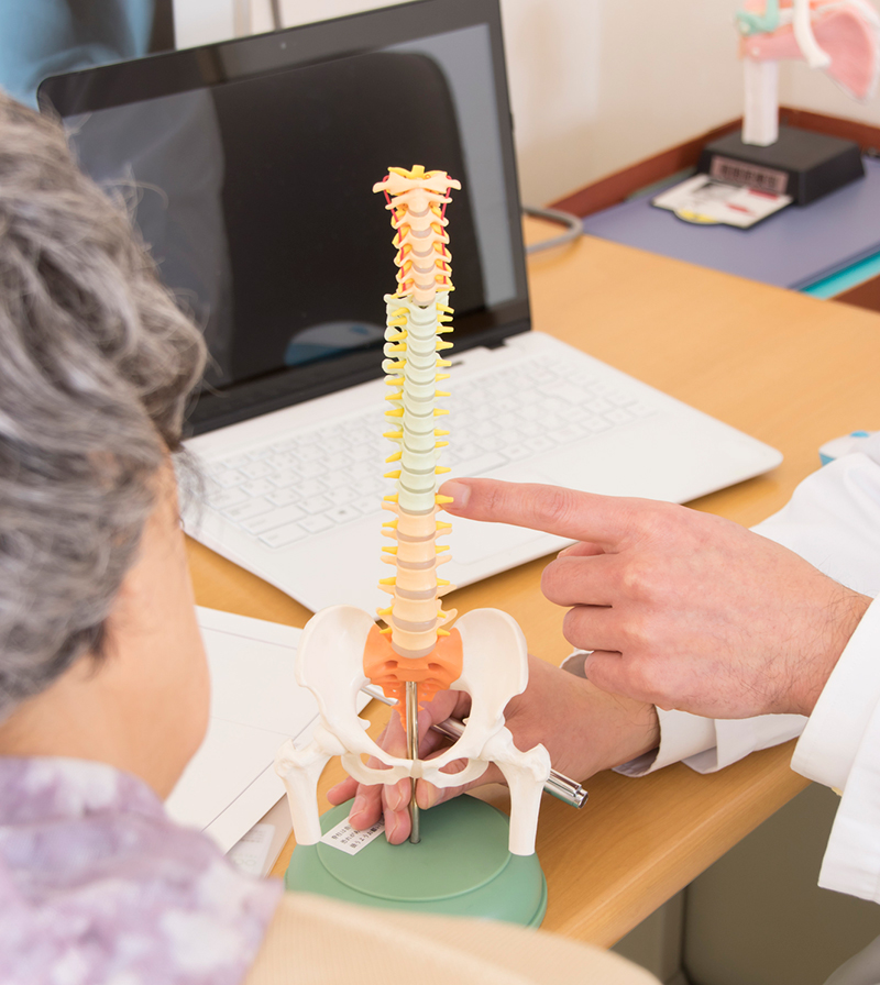 骨の模型で患者に説明する医者の手元