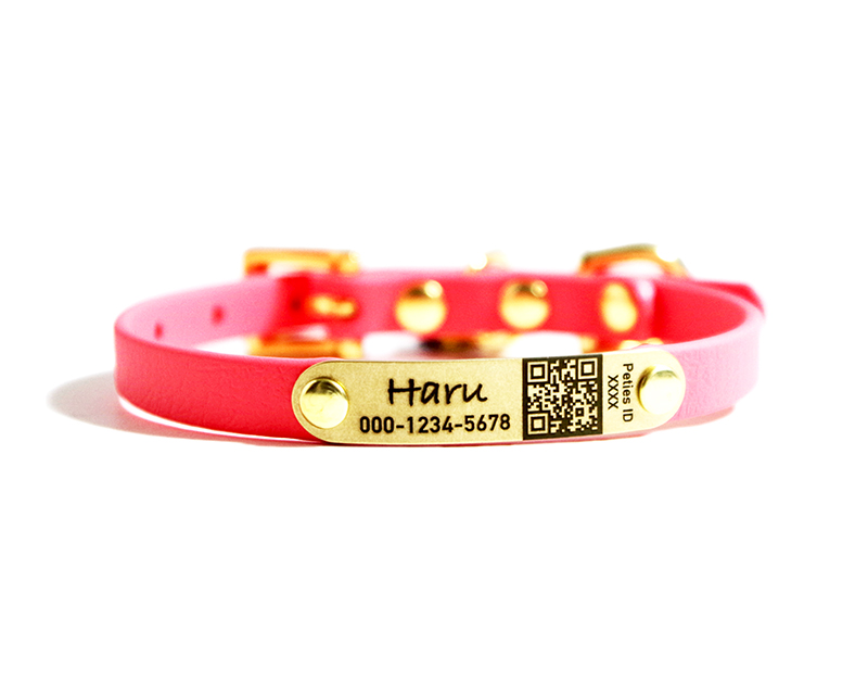 QRペットプロフィール」小型犬向けで4070円～／迷子のお守りshop（写真提供／迷子のお守りshop）