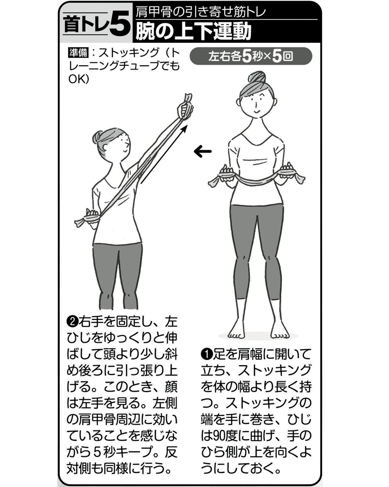 首トレ【5】肩甲骨の引き寄せ筋トレ！腕の上下運動