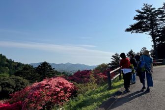 《地元が「山桜の名所」として注目》68歳オバ記者が振り返る“最高の花見”、「バイオリン、オーボ…