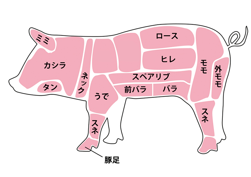 豚肉の部位