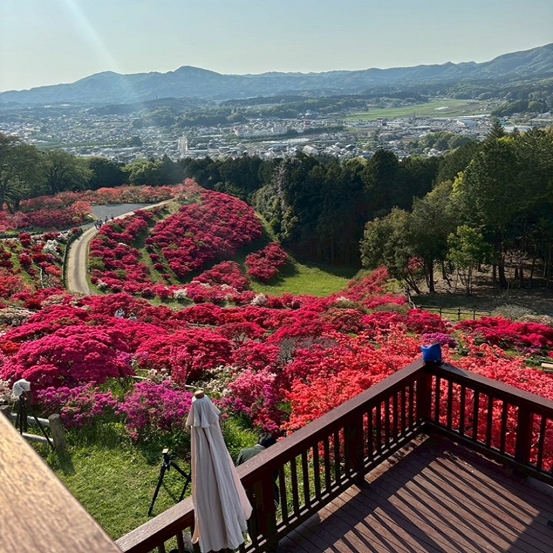 展望台から見える景色はご褒美をもらった気分