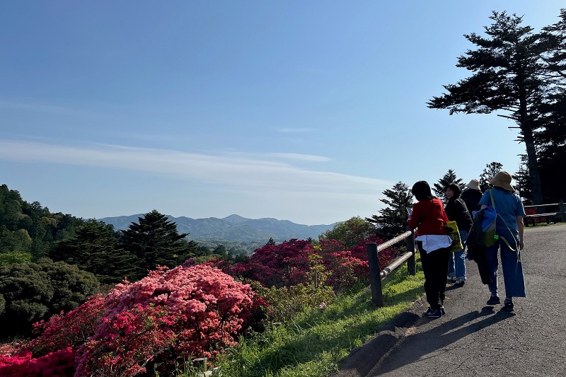 「山桜の名所」と呼ばれる茨城県桜川市へ行ってきたオバ記者